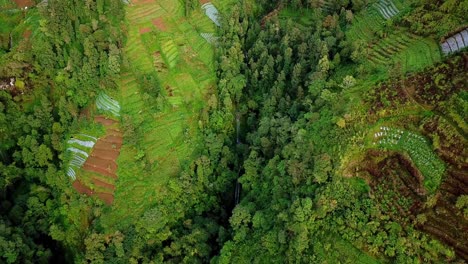 Orbit-drone-shot-of-hidden-waterfall-in-the-slope-of-mountain-valley-surrounded-by-trees-and-terraced-plantation---Vegetation-of-tropical-rural-landscape