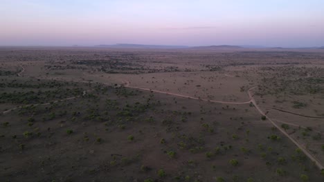 Terreno-Serengeti-Africano-Con-Caminos-De-Tierra-Durante-El-Anochecer,-Plano-Aéreo-A-La-Derecha