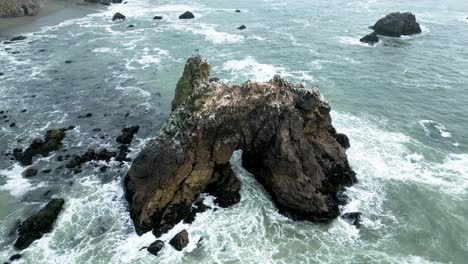 Cinematic-view-of-Arched-Rock-as-Gulls-land-as-waves-crash,-Sonoma-County-Bodega-Bay,-High-Way-1,-California