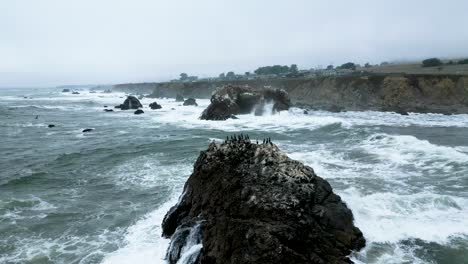 Stormy-waves-crash-along-Arched-Rock-in-Sonoma-County-Bodega-Bay-along-Pacific-Highway-1-Coast,-California