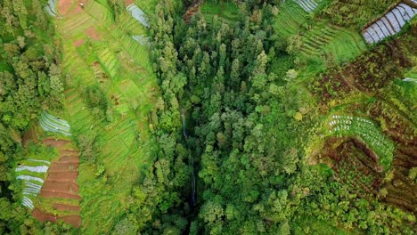 Una-Cascada-Escondida-En-Un-Valle-De-Montaña-Rodeada-De-árboles-Y-Plantaciones-En-Terrazas---Vegetación-De-Paisaje-Rural-Tropical