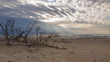 Beautiful-timelapse-of-fast-moving-clouds-over-the-Baltic-sea-coastline,-sun-shining-through-the-clouds,-evening-before-the-sunset,-nature-landscape-in-motion,-white-sand-beach,-old-tree,-wide-shot