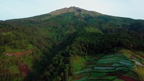 Drone-video-of-vegetation-on-the-slopes-of-the-tropical-mountain-with-plantation-and-forest---Slope-of-Sumbing-Mountain,-Indonesia