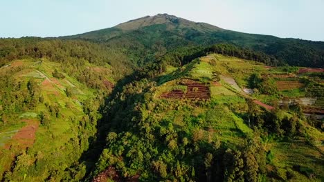 Reveal-drone-video-of-slope-of-mountain-with-a-bare-forest-because-of-vegetable-plantations,-deforestation-on-slope-of-mountain---Sumbing-Mountain,-Indonesia