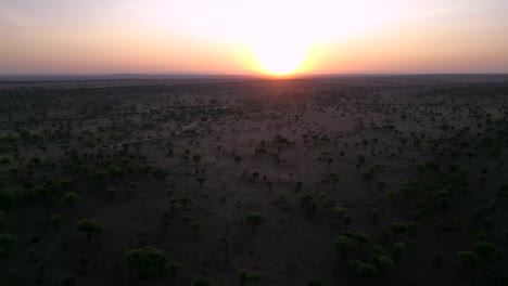 African-Serengeti-terrain-seen-at-sunset-from-above,-Aerial-flyover-shot