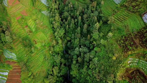 Aerial-top-view-of-plantation-fields,-forest-and-spectacular-waterfall-on-slope-of-mountain-at-sunlight