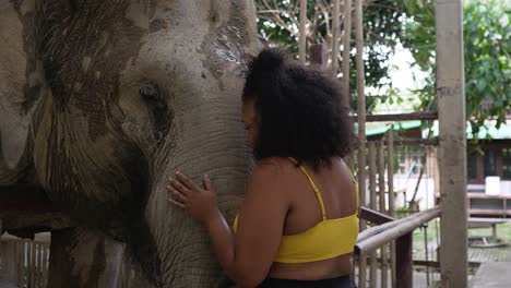 Curly-black-women-cuddling-with-an-asian-elephant