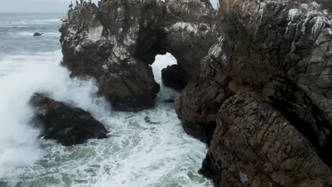 Flying-out-of-Hole-in-Arched-Rock-in-Pacific-Ocean,-Bodega-Bay-California