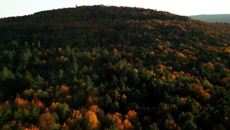 Aerial-view-of-treetops-of-Catskill-Mountains-in-Upstate-New-York-tinted-orange-in-fall---display-of-seasonal-change