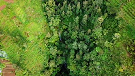 Tilt-down-drone-shot-of-hidden-waterfall-in-a-mountain-valley-surrounded-by-trees-and-terraced-plantation---Vegetation-of-tropical-rural-landscape