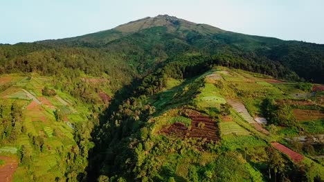 Aerial-view-of-green-plantation,-jungle-and-valley-on-Mount-Sumbing-Mountain-during-golden-sunset-in-Indonesia
