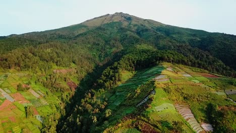 Aerial-view-of-bare-forest-on-slope-of-mountain-because-of-vegetable-plantations,-deforestation-on-slope-of-mountain---Sumbing-Mountain,-Indonesia
