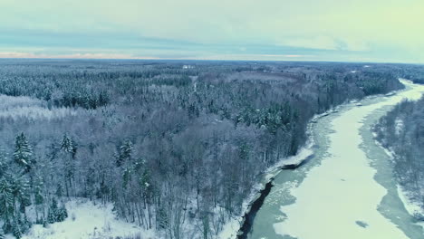 Cinematic-drone-pullback-reverse-shot-of-snow-covered-winter-landscape-with-large-frozen-river-at-the-shore-of-spruce-trees-with-beautiful-grey-and-blue-sky-at-the-background