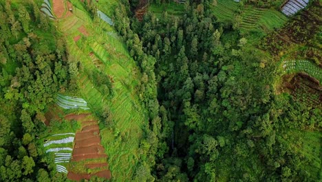 Drone-video-of-tropical-forest-on-the-mountain-that-has-been-damaged-due-to-land-clearing-for-agriculture