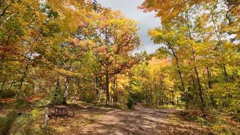 Walk-through-magnificent-orange-gold-autumn-woodland-forest-trail