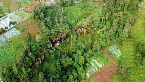 Drone-shot-of-hidden-waterfall-on-mountain-cliff-that-surrounded-by-trees-and-plantation