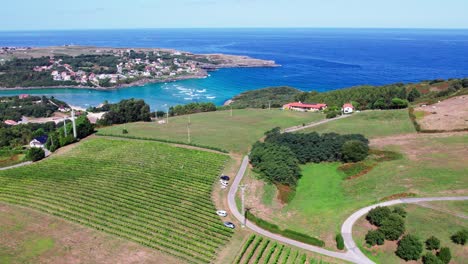 Drone-shot-of-a-vineyard-by-the-sea-in-Cantabrian,-Spain