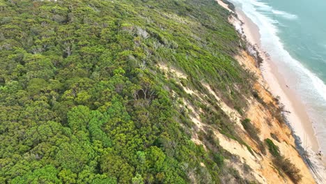flying-along-the-top-of-hill-covered-in-trees-overlooking-pristine-sandy-beach