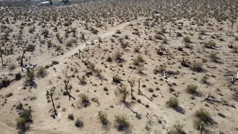 Aerial-drone-view-flying-over-vast-deserted-land-in-Joshua-Tree-National-Park