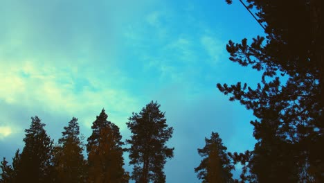 Silhouette-Der-Nördlichen-Bäume-Gegen-Sturmwolken,-Die-Sich-über-Den-Abendhimmel-Bewegen