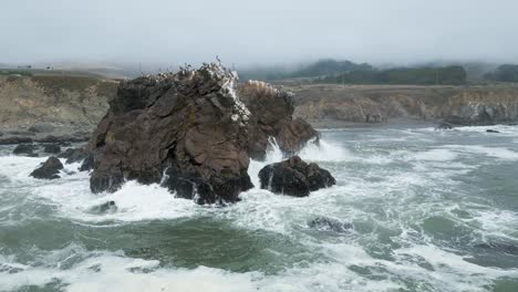 Orbiting-around-arched-rock-covered-in-birds-as-waves-crash-in-the-Pacfic-Ocean,-Slow-Motion-of-waves-crashing-on-Arched-Rock-as-sea-birds-land,-Sonoma-County-Bodega-Bay-along-CA