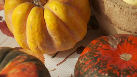 Autumn-fall-vibes-with-close-up-view-of-colorful-squashes-and-pumpkins,-slow-motion-moves,-4K