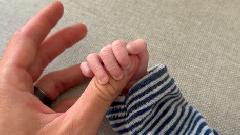 Close-up-shot-of-newborn-baby-hand-holding-finger-thumb-of-adult-at-home