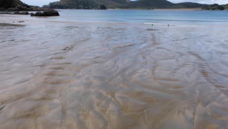 Seichtes-Wasser,-Das-über-Sandstrand-Läuft-Neuseeland-Landschaft-Mit-Einheimischen-Austernfischervögeln,-Die-An-Der-Küste-Auf-Der-Nordinsel-Nz-Aotearoa-Waten