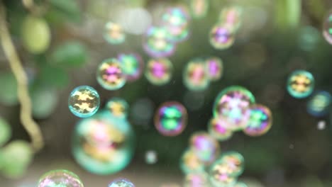 Bubbles-Blowing-Upwards-infront-of-Camera