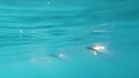 Punto-De-Vista-Submarino-Nadando-A-Través-De-Paletas-De-Botes-De-Remos-Bajo-El-Mar