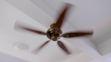 Close-up-of-fast-spinning-ceiling-fan-at-home-in-white-washed-room
