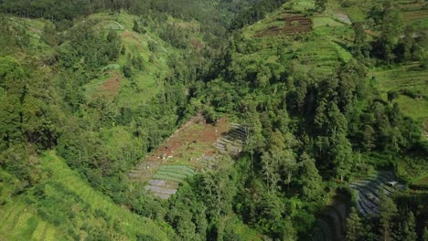 Aerial-flight-approaching-green-woodland,-terraced-vegetable-plantaiton-on-mountain-in-Asia