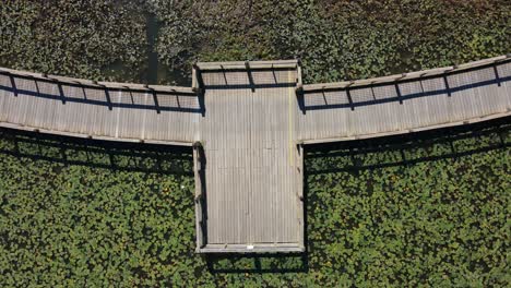 Drone-ascending-shot-of-a-lookout-point-and-lily-pads-at-Clarksville-Marina