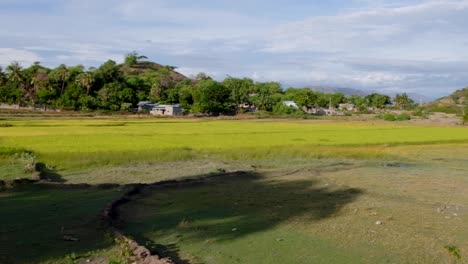 Blick-Auf-Die-Wunderschöne-Landschaftliche-Landschaft,-Ackerland-Und-Reisfelder-In-Der-Gemeinde-Manatuto,-Timor-Leste-In-Südostasien
