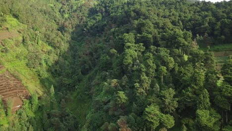 Luftaufnahme-Mit-Gepflanzten-Bäumen-Und-Feldern-Auf-Dem-Stratovulkan-In-Indonesien