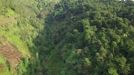 Drohnenblick-Auf-Tal-Und-Wald-Am-Hang-Des-Berges---Tropische-Vegetation
