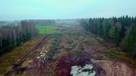 Aerial-flyover-destroyed-forest-landscape-after-wood-clearing-and-deforestation-during-cloudy-day