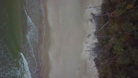 Beautiful-aerial-birdseye-view-of-Baltic-sea-coast-on-a-sunny-evening,-sunset,-golden-hour,-beach-with-white-sand,-coastal-erosion,-climate-changes,-wide-angle-drone-shot-moving-forward