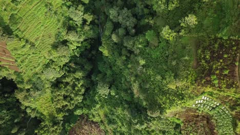 Overhead-Drohnenaufnahmen-Eines-Bergtals-Mit-Einem-Fluss-Im-Boden-Und-Einer-üppigen-Gemüseplantage---Sumbing-Mountain,-Indonesien