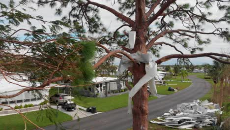 4K-Drone-Video-of-Aluminum-Debris-Lodged-in-Pine-Tree-from-Hurricane-Ian-in-North-Port,-FL---05