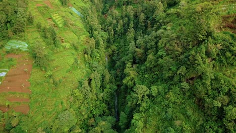 Drone-footage-of-valley-on-the-slope-of-mountain-that-overgrown-by-trees-and-plantation-with-hidden-waterfall---Slope-of-Sumbing-Mountain,-Indonesia