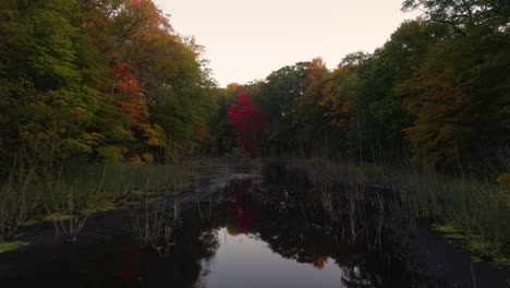Low-height-track-over-a-small-creek-in-Muskegon-during-Autum