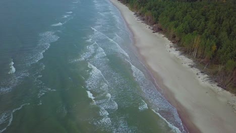 Beautiful-aerial-birdseye-view-of-Baltic-sea-coast-on-a-sunny-evening,-sunset,-golden-hour,-beach-with-white-sand,-coastal-erosion,-climate-changes,-wide-angle-drone-shot-moving-forward