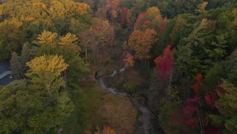 Goldene-Herbstfarben,-Die-über-Einem-Kleinen-Sumpf-In-West-Michigan-Blühen