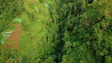 Drone-footage-of-valley-on-the-slope-of-tropical-mountain-that-overgrown-by-trees-and-plantation-with-hidden-waterfall---Slope-of-Sumbing-Mountain,-Indonesia