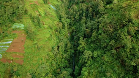 Drone-footage-of-valley-on-the-slope-of-mountain-that-overgrown-by-trees-and-plantation-with-hidden-waterfall,-Vegetation-on-the-tropical-mountain---Slope-of-Sumbing-Mountain,-Indonesia