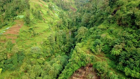 Tilt-down-drone-footage-of-hidden-waterfall-on-mountain-cliff-that-surrounded-by-trees-and-plantation,-Tropical-vegetation---Slope-of-Sumbing-Mountain