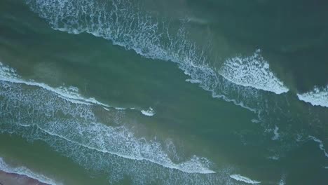 Beautiful-aerial-birdseye-view-of-Baltic-sea-coast-on-a-sunny-evening,-sunset,-golden-hour,-beach-with-white-sand,-coastal-erosion,-climate-changes,-wide-angle-drone-dolly-shot-moving-left