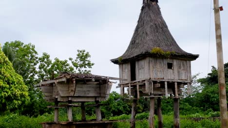 Timorese-Cultural-Tradicional-Uma-Lulik-Casas-Sagradas-Con-Techo-De-Paja-En-El-Remoto-Lospalos,-Lautem-En-Timor-Leste,-Sudeste-De-Asia
