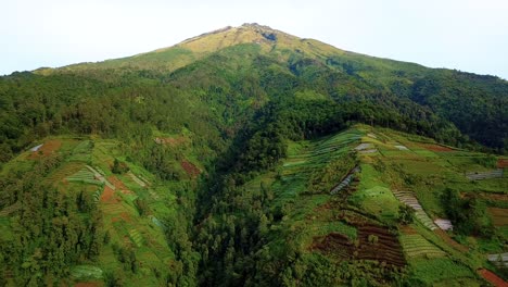 Drone-footage-of-mountain-with-vegetable-plantation-and-forest-on-the-slope---Mount-Sumbing,-Indonesia
